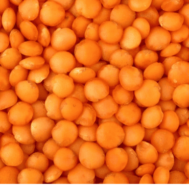 Whole Red Lentils