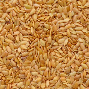 Yellow Flax Seeds